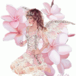 angel 76