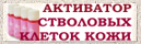 Kosmetika