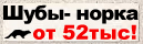 Norka-Bober